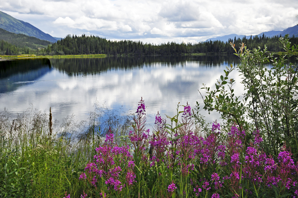 Pickhandle Lakes